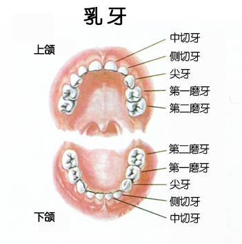 图片1.jpg